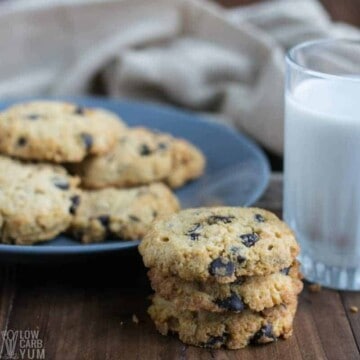 Coconut Flour Chocolate Chip Cookies
