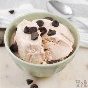 protein ice cream in small bowl topped with chocolate chips.